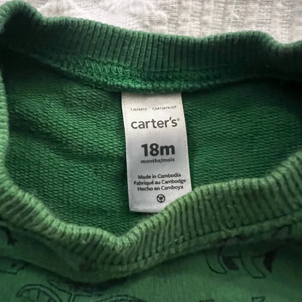 Carter’s Crewneck Sweatshirt Toddler 18 months‎ Dinosaurs Green GUC